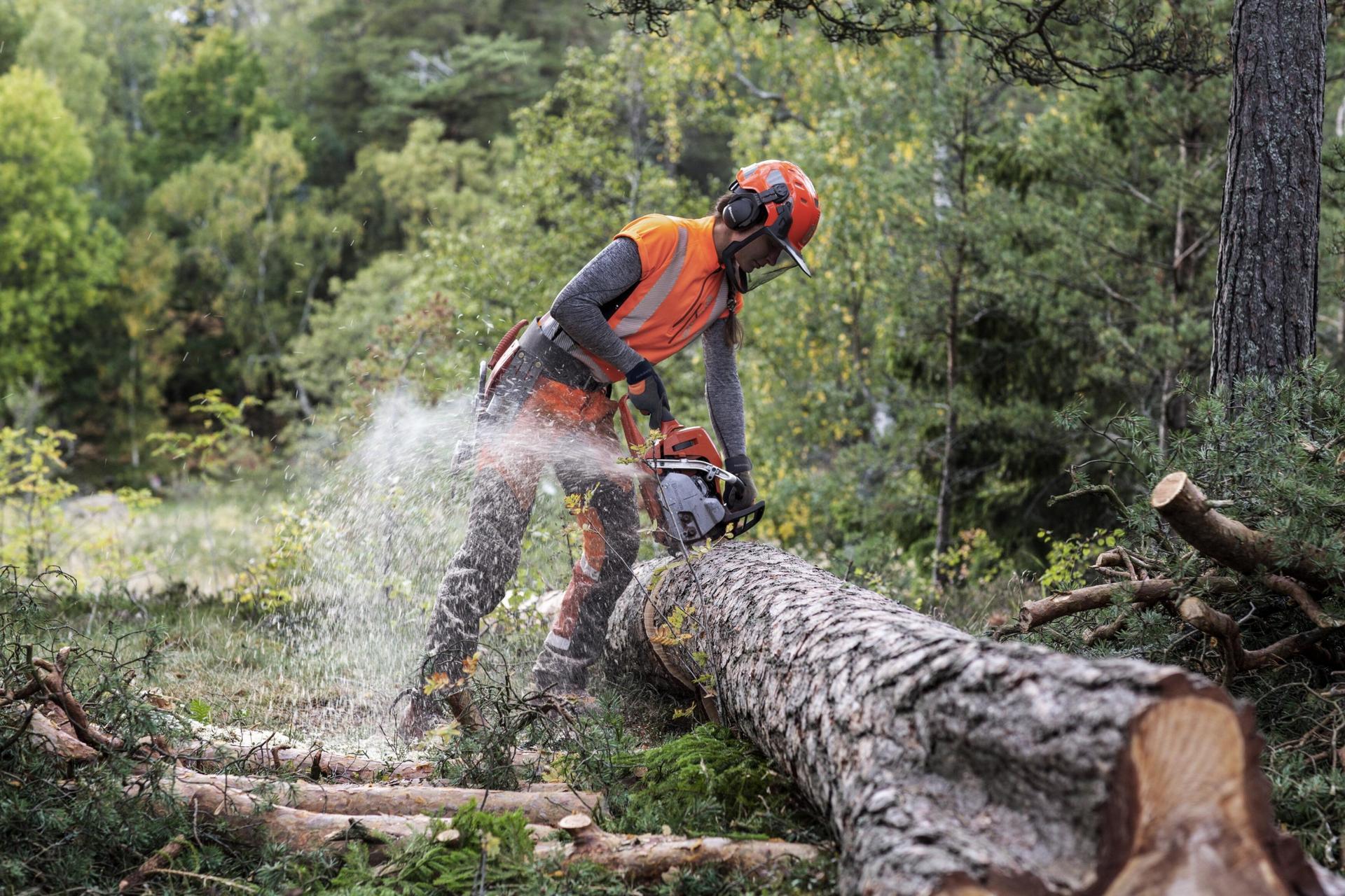Husqvarna 545 Mark II moottorisaha - Vuoksenautotarvike.fi