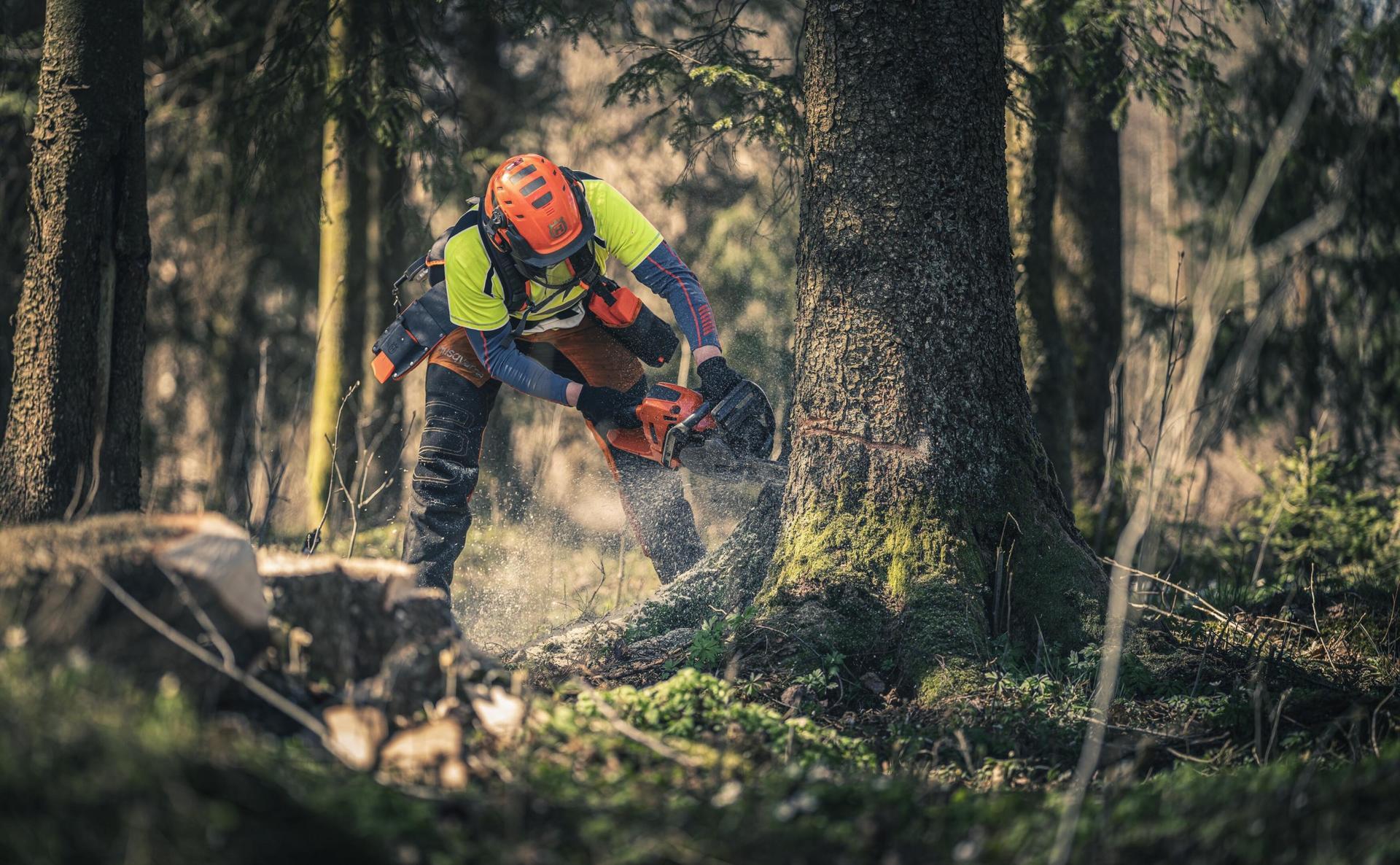Husqvarna 560 XP moottorisaha - Vuoksenautotarvike.fi