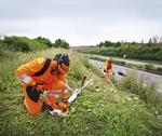Stihl FS 460 C-EM K raivaussaha - Vuoksenautotarvike.fi