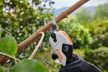 Stihl ASA 20 akkukäyttöiset oksasakset - Vuoksenautotarvike.fi