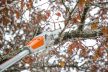 Stihl HTA 50 -akkuoksasaha setti - Vuoksenautotarvike.fi